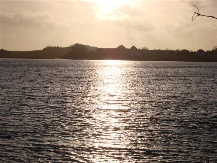 En tur i dyreborg skov billede 28