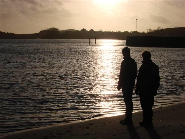 En tur i dyreborg skov billede 29