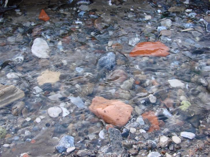 En tur i dyreborg skov billede 30