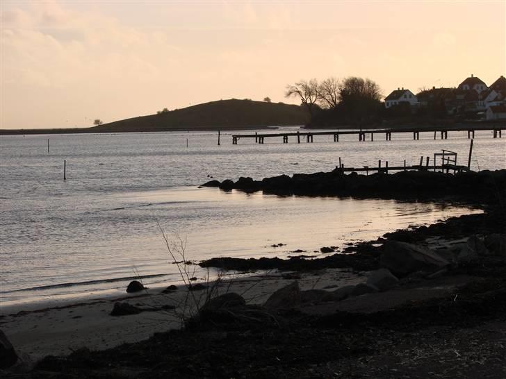 En tur i dyreborg skov billede 33