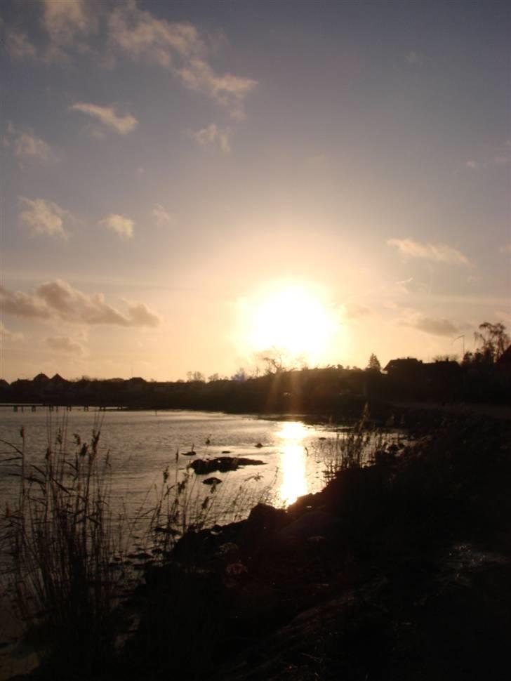 En tur i dyreborg skov billede 35