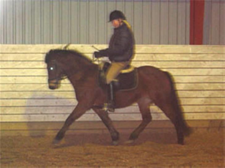 En masse blandede billeder af Tornerose billede 1