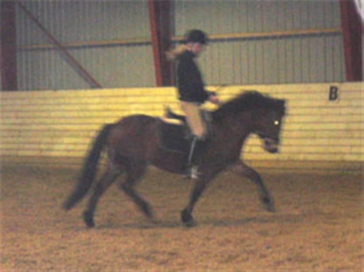 En masse blandede billeder af Tornerose billede 2