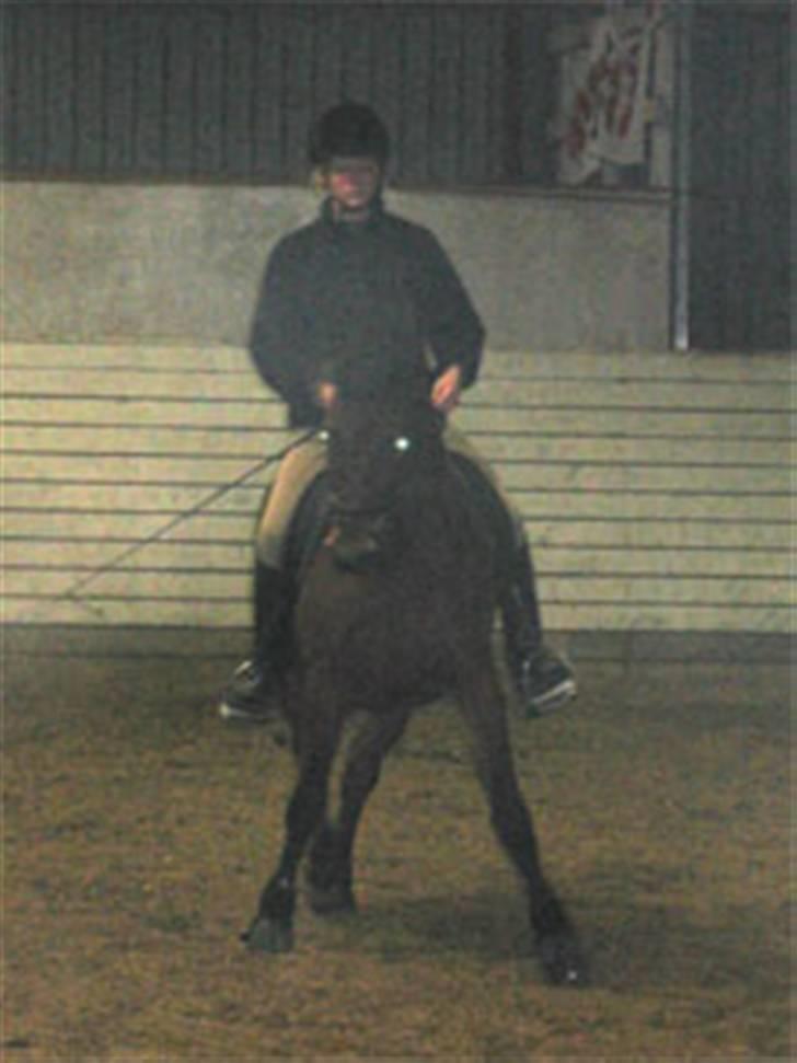 En masse blandede billeder af Tornerose billede 3