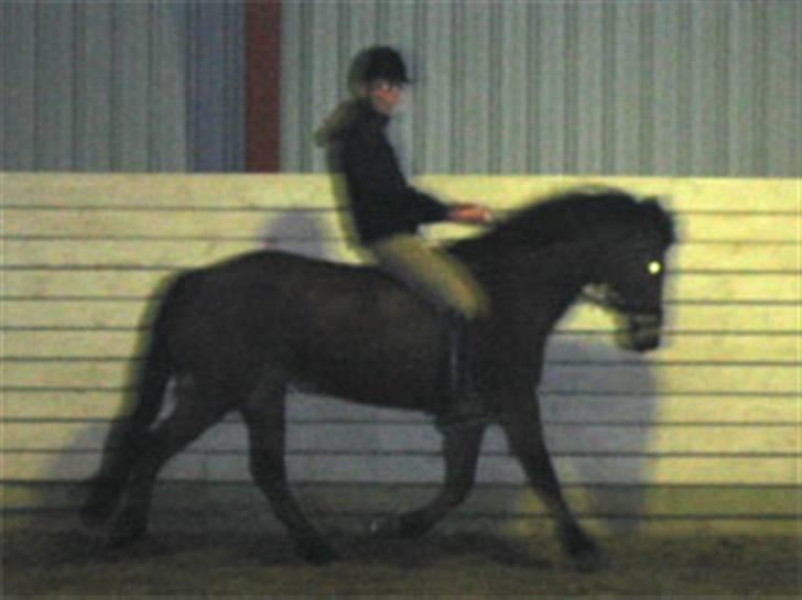 En masse blandede billeder af Tornerose billede 5