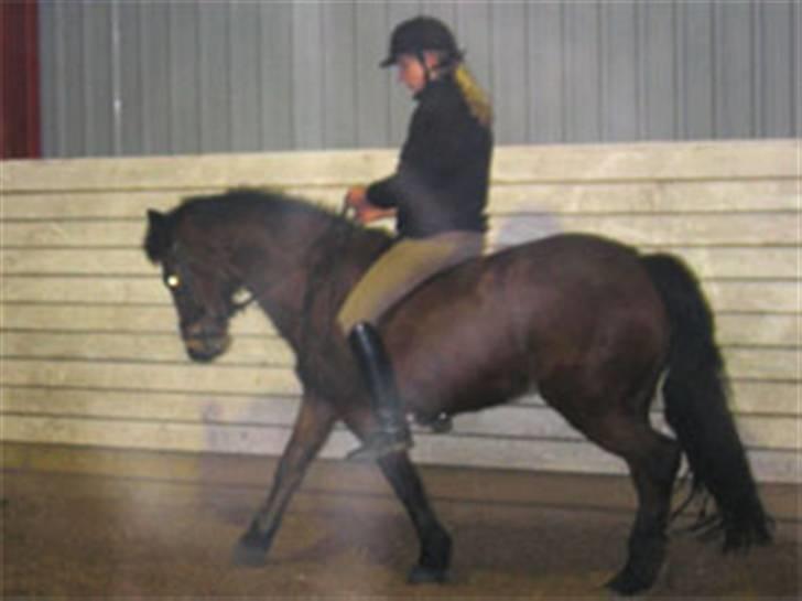 En masse blandede billeder af Tornerose billede 6