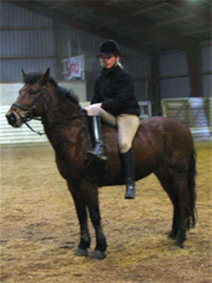 En masse blandede billeder af Tornerose billede 7