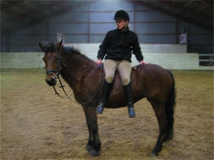 En masse blandede billeder af Tornerose billede 8