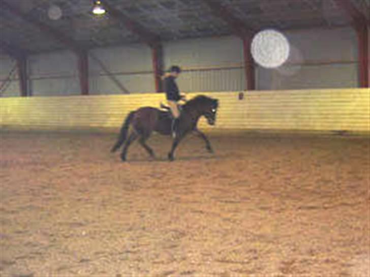 En masse blandede billeder af Tornerose billede 62