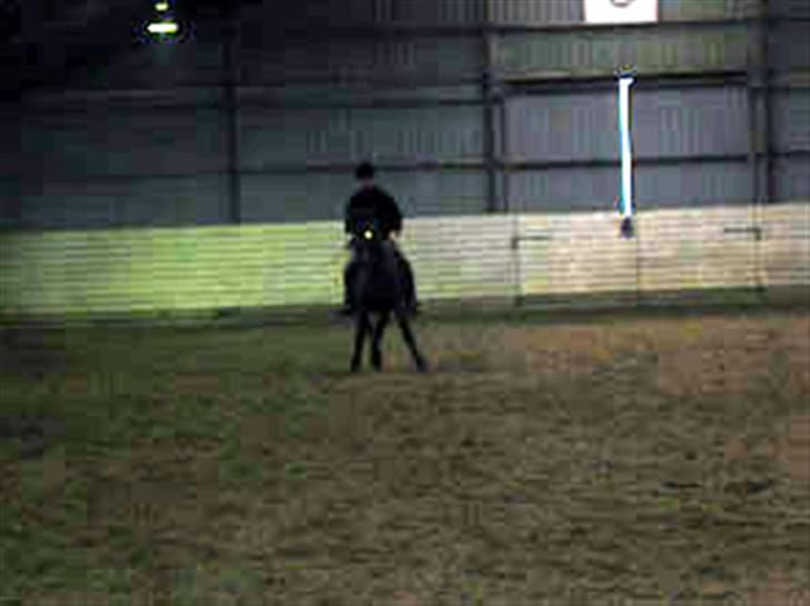 En masse blandede billeder af Tornerose billede 64