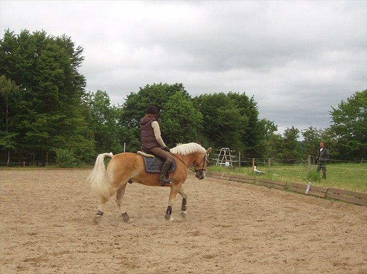 Stabejs* - Åhh hvor jeg dog elsker dig:P 
men tak fordi i kiggede med:P billede 30