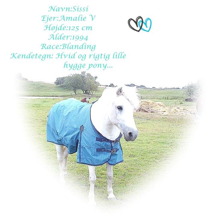 Billeder jeg har lavet  - Til SIssi og Amalie.. 
Det er kun dem der må tage bileldet.. 
(NAvneskilt) billede 24