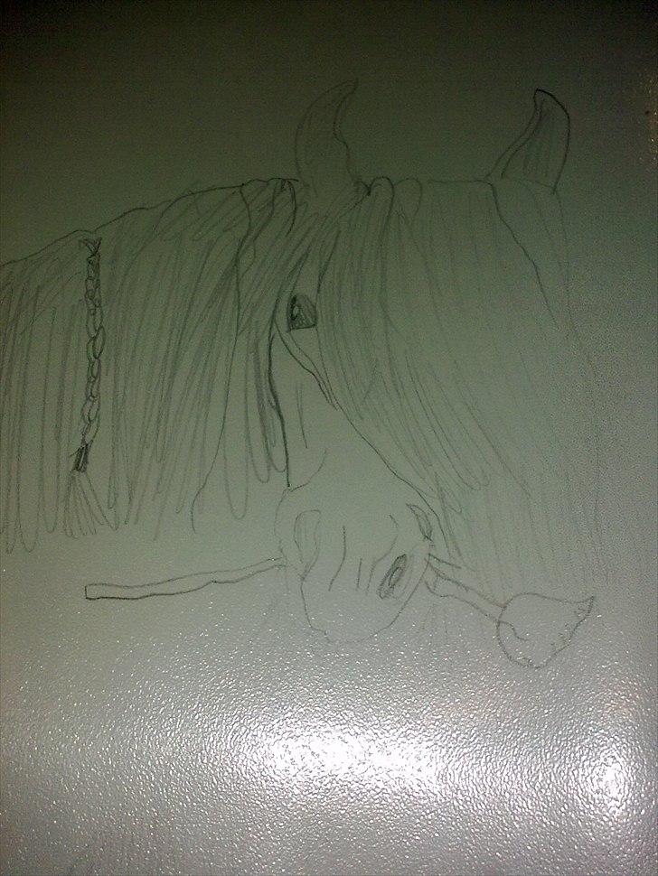 Tegninger :) - Smuk hest med rose i munden :) billede 4