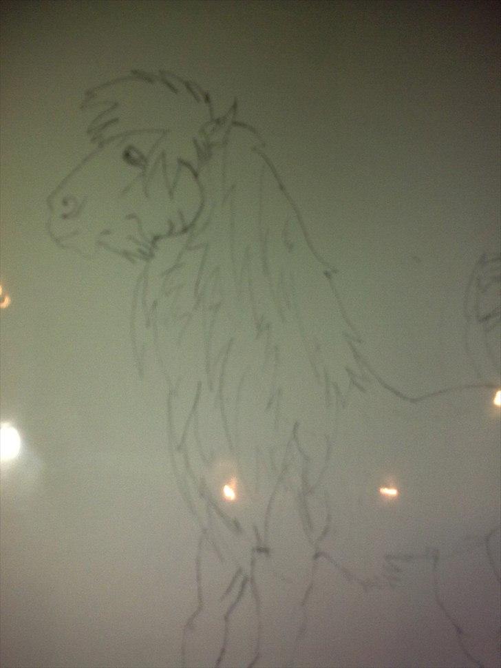 Tegninger :) - En slags heste løve ;) billede 5