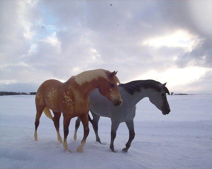 Breyer modelheste - Nu med nye billeder! - To "Mustang Lady" modeler. Appaloosa hoppe Full Speed og Indianer hest Ichaley. billede 60