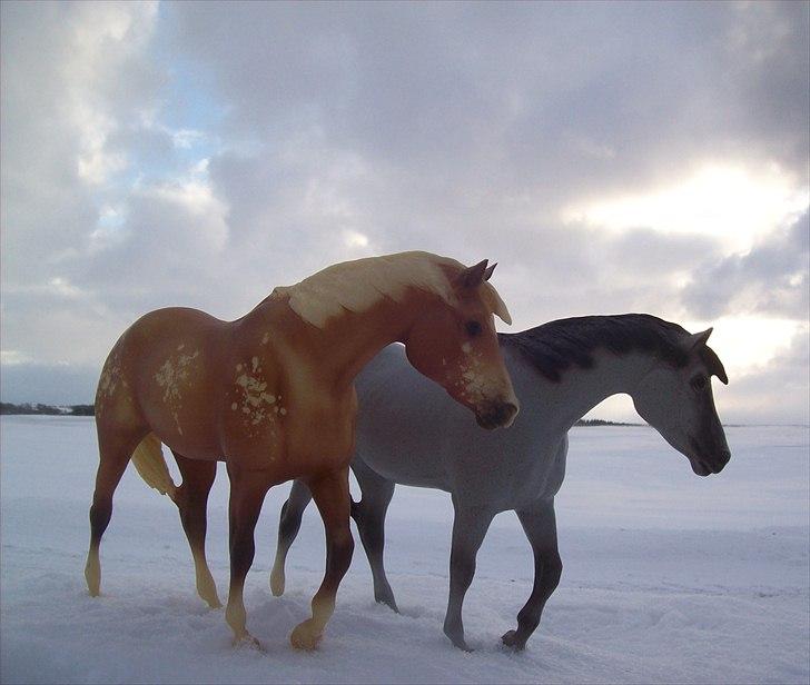 Breyer modelheste - Nu med nye billeder! - To "Mustang Lady" modeler. Appaloosa hoppe Full Speed og Indianer hest Ichaley. billede 61