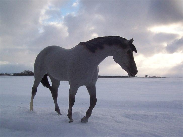 Breyer modelheste - Nu med nye billeder! - Indianer hest - Ichaley billede 62