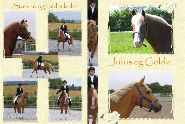 Billedredigering (har leget lidt...) - Dvd cover. et personligt cover til din heste dvd. billede 21