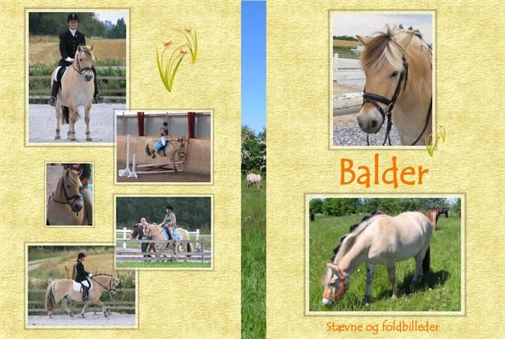 Billedredigering (har leget lidt...) - Endnu et cover til en heste dvd billede 22