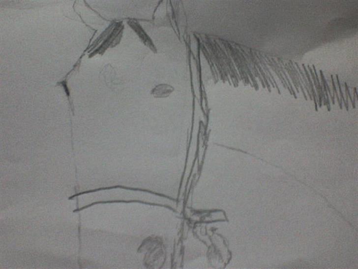 Tiniger - Her er den jeg tainget er den ik smuk og det er kun mig der har tignet billede 1