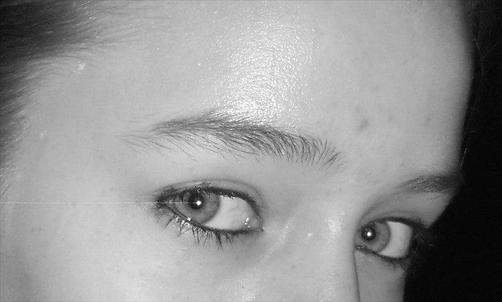 Tingesten bag skærmen ;b billede 2