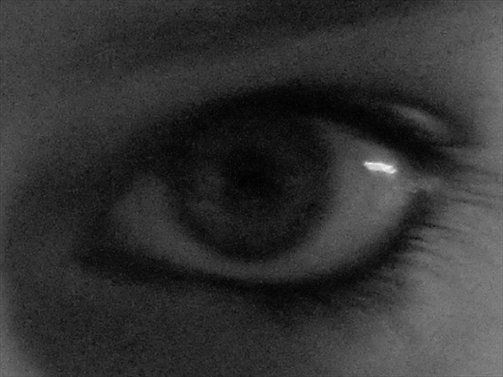 Tingesten bag skærmen ;b billede 3