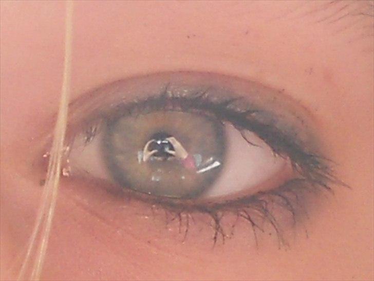 Tingesten bag skærmen ;b billede 5