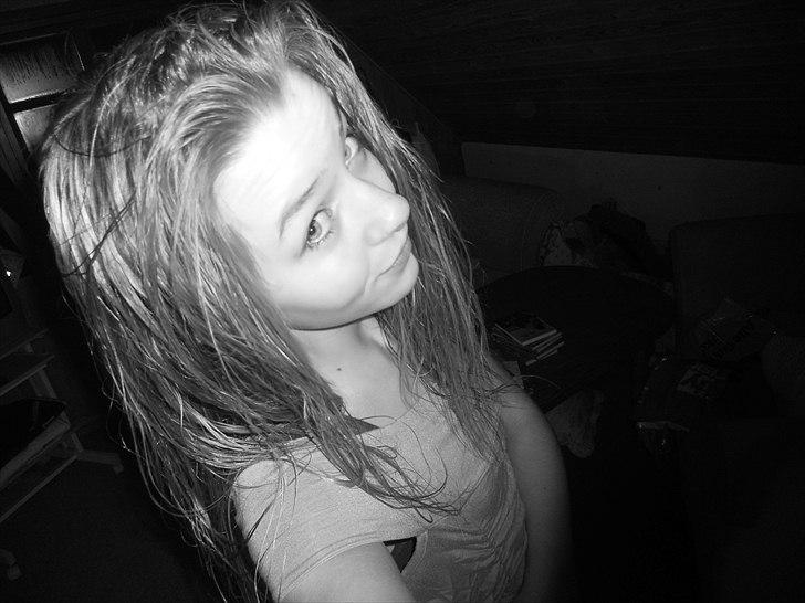 Tingesten bag skærmen ;b billede 7