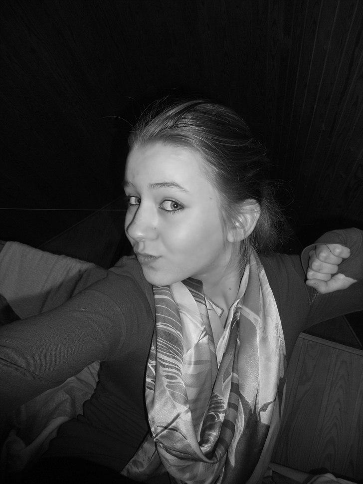 Tingesten bag skærmen ;b billede 8