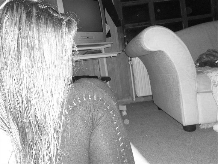 Tingesten bag skærmen ;b billede 10