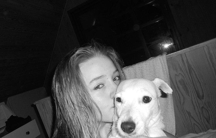 Tingesten bag skærmen ;b billede 11