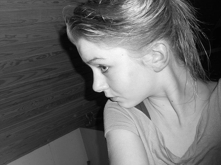 Tingesten bag skærmen ;b billede 12