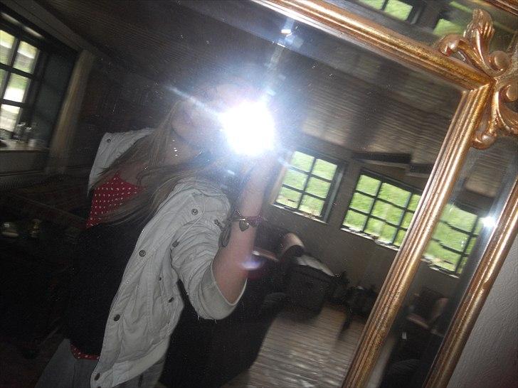 Tingesten bag skærmen ;b billede 15