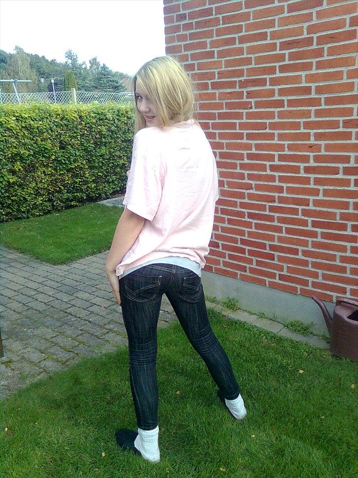 Tingesten bag skærmen ;b billede 17