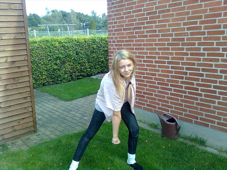 Tingesten bag skærmen ;b billede 18