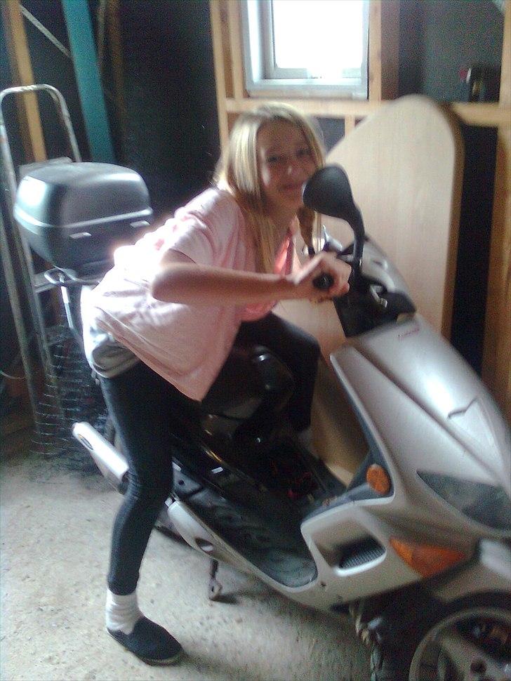 Tingesten bag skærmen ;b billede 19