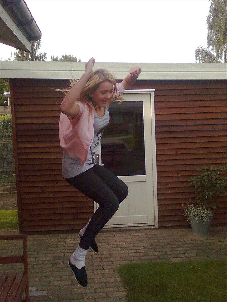 Tingesten bag skærmen ;b billede 1