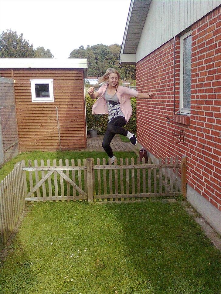 Tingesten bag skærmen ;b billede 20