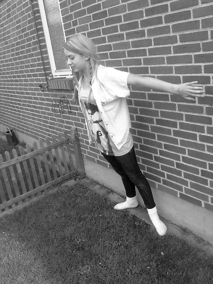 Tingesten bag skærmen ;b billede 21