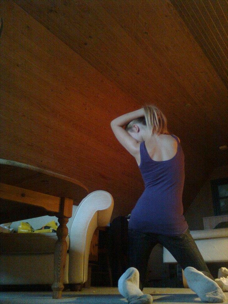 Tingesten bag skærmen ;b billede 23