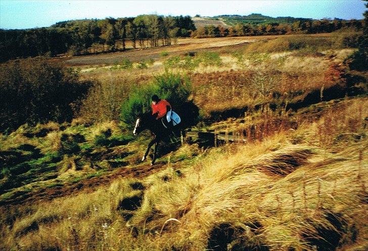 Billeder af andre heste jeg rider - Jagt i Farstrup 2002 på Amanda :) billede 12