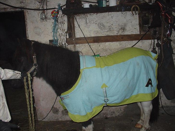  hjemmelavet lammeunderlag, stangmåler, flecetæppe, regndækken, rebgrime, mm.  - Så fik jeg endelig taget et billede efter hans  "A" kom på og det blev tilpasset... billede 12