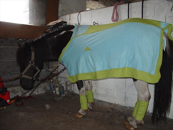  hjemmelavet lammeunderlag, stangmåler, flecetæppe, regndækken, rebgrime, mm.  - Prøvning af det famøse fleecesæt der satte gang i gør-det-selv-festen... billede 11