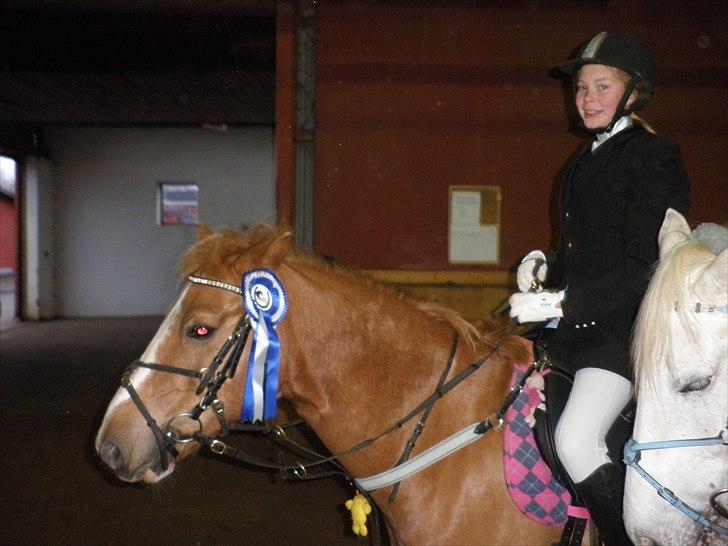 Dalby rideklub - DBR - 20+21november 2010 billede 1