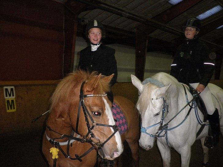 Dalby rideklub - DBR - 20+21november 2010 billede 2