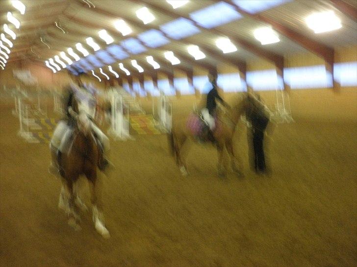 Dalby rideklub - DBR - 20+21november 2010 billede 4