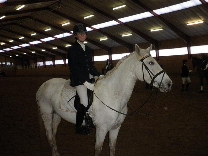 Dalby rideklub - DBR - 20+21november 2010 billede 5