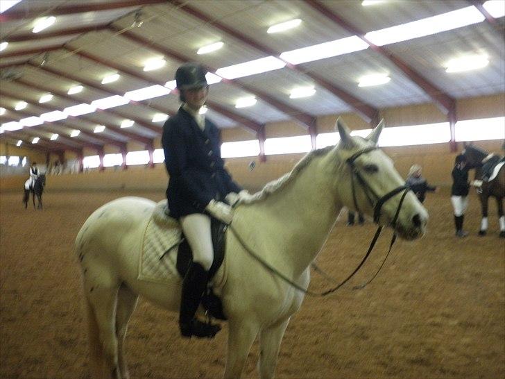 Dalby rideklub - DBR - 20+21november 2010 billede 6