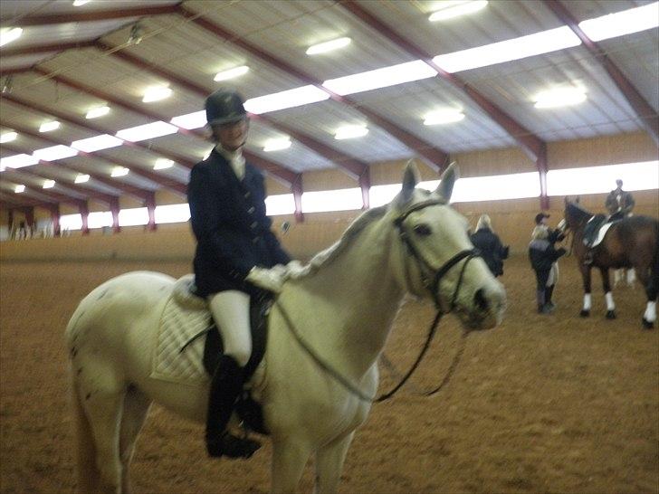 Dalby rideklub - DBR - 20+21november 2010 billede 7