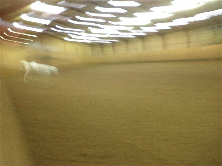 Dalby rideklub - DBR - 20+21november 2010 billede 8